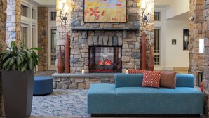 A stone fireplace with a fire, a blue sofa with patterned cushions, and a large potted plant. - Hilton Garden Inn Roanoke (Roanoke)