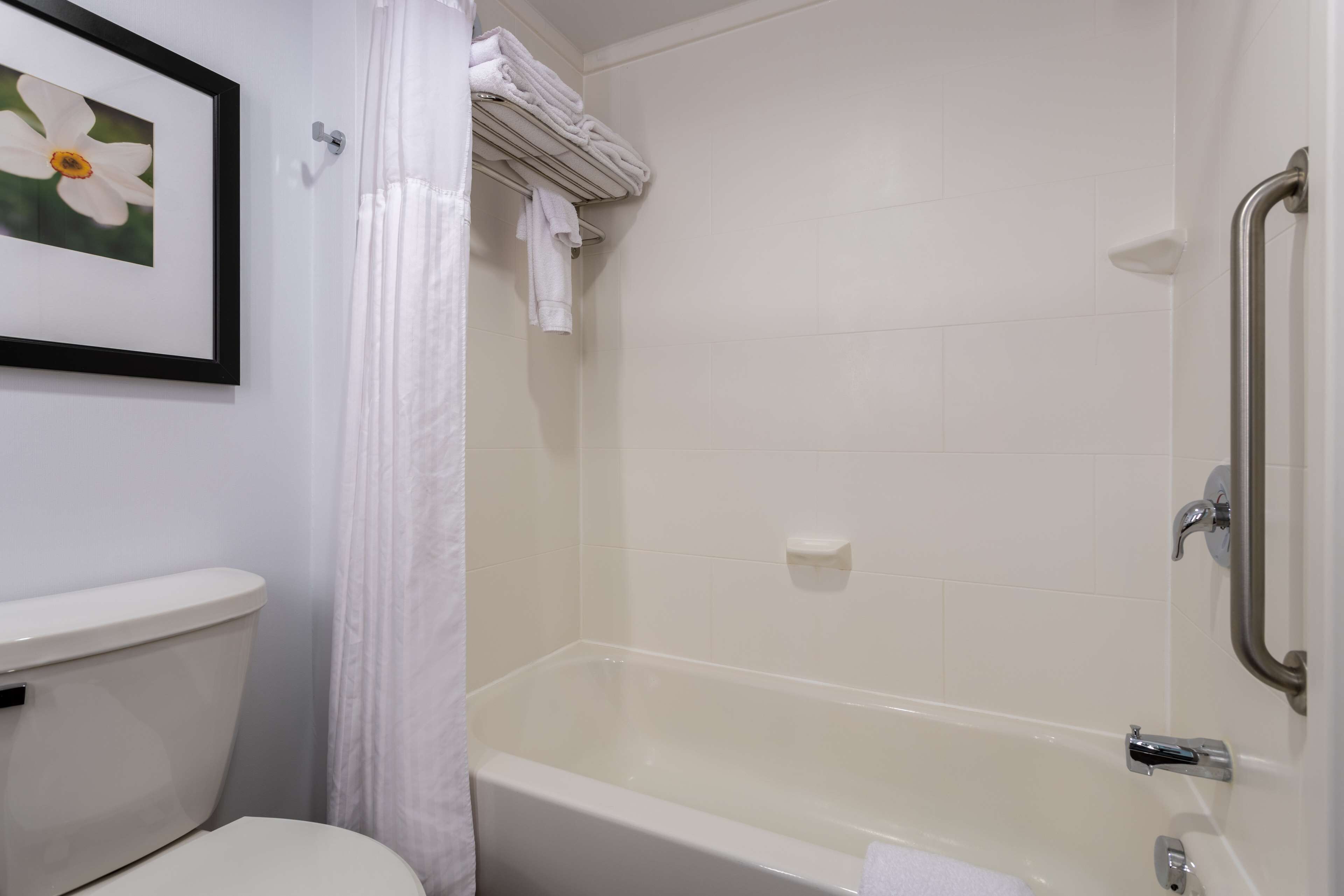 A bathroom with a white toilet, a bathtub, and a shower curtain.