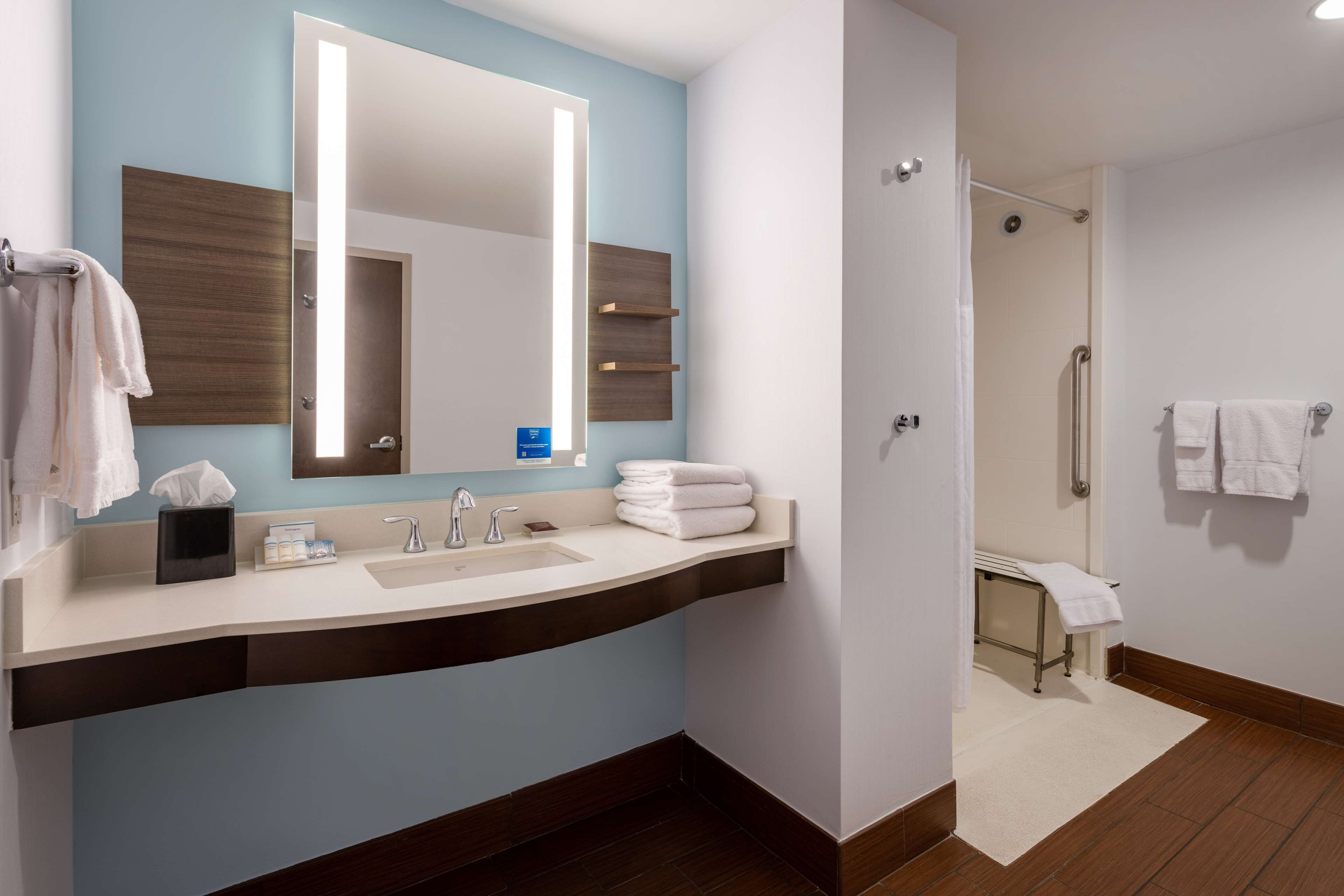 suite, 2 queen beds, mobility/hearing accessible roll in shower | bathroom shower