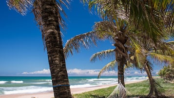 Vista da propriedade