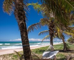 Vista desde la propiedad