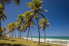 Una playa con palmeras y un cielo azul despejado.