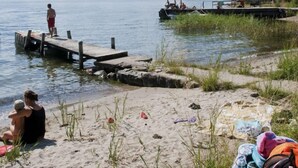 Escena junto al lago con un muelle de madera que se adentra en el agua, una playa de arena y una zona verde con gente relajándose.