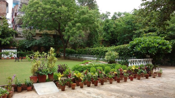 Property grounds - Jai Niwas (Jaipur)