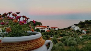 A coastal village with white buildings and red roofs, surrounded by greenery and overlooking the sea. - Hotel Ariadne (Skopelos)