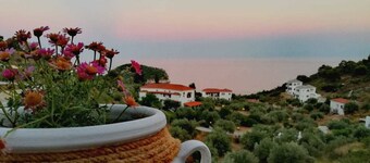 Hotel Ariadne