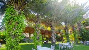 Un espace extérieur aménagé en terrasse, doté de mobilier en osier blanc, abrité par des pergolas en bois et entouré d’une végétation luxuriante et de palmiers.