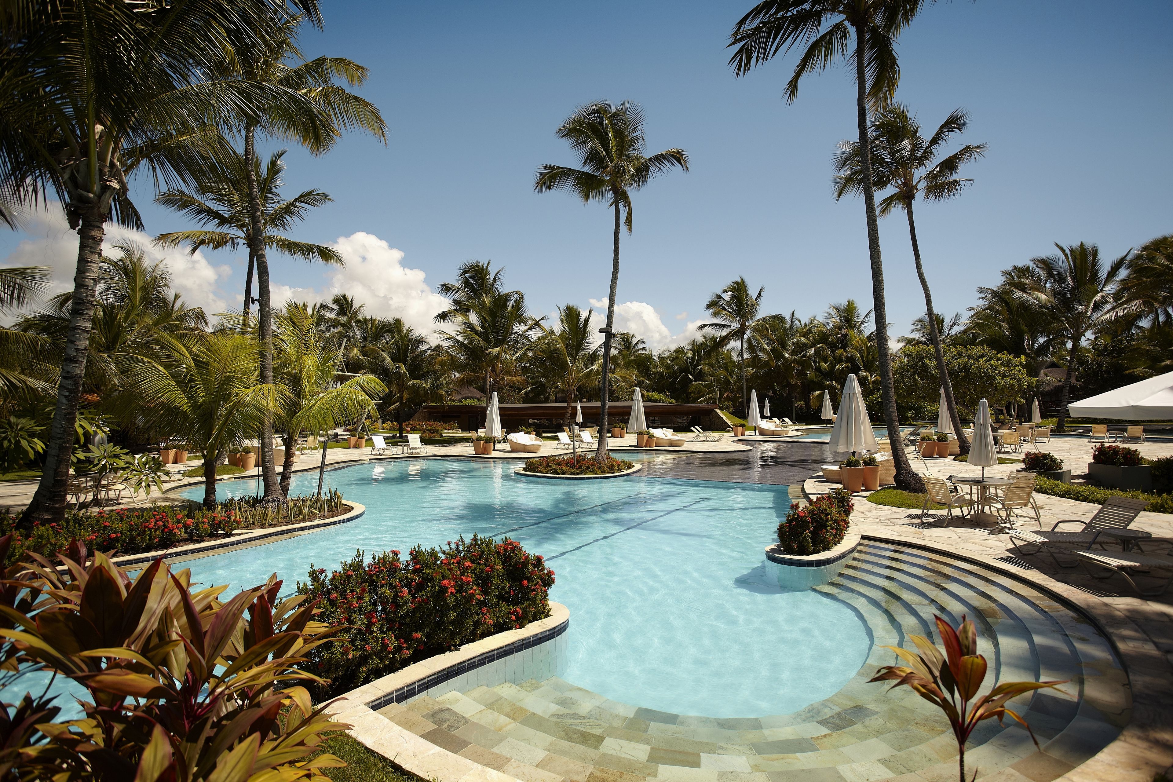 A resort pool area with palm trees, lounge chairs, and a clear blue sky.