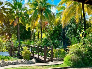 Garden - Catussaba Suítes Resort (Salvador)