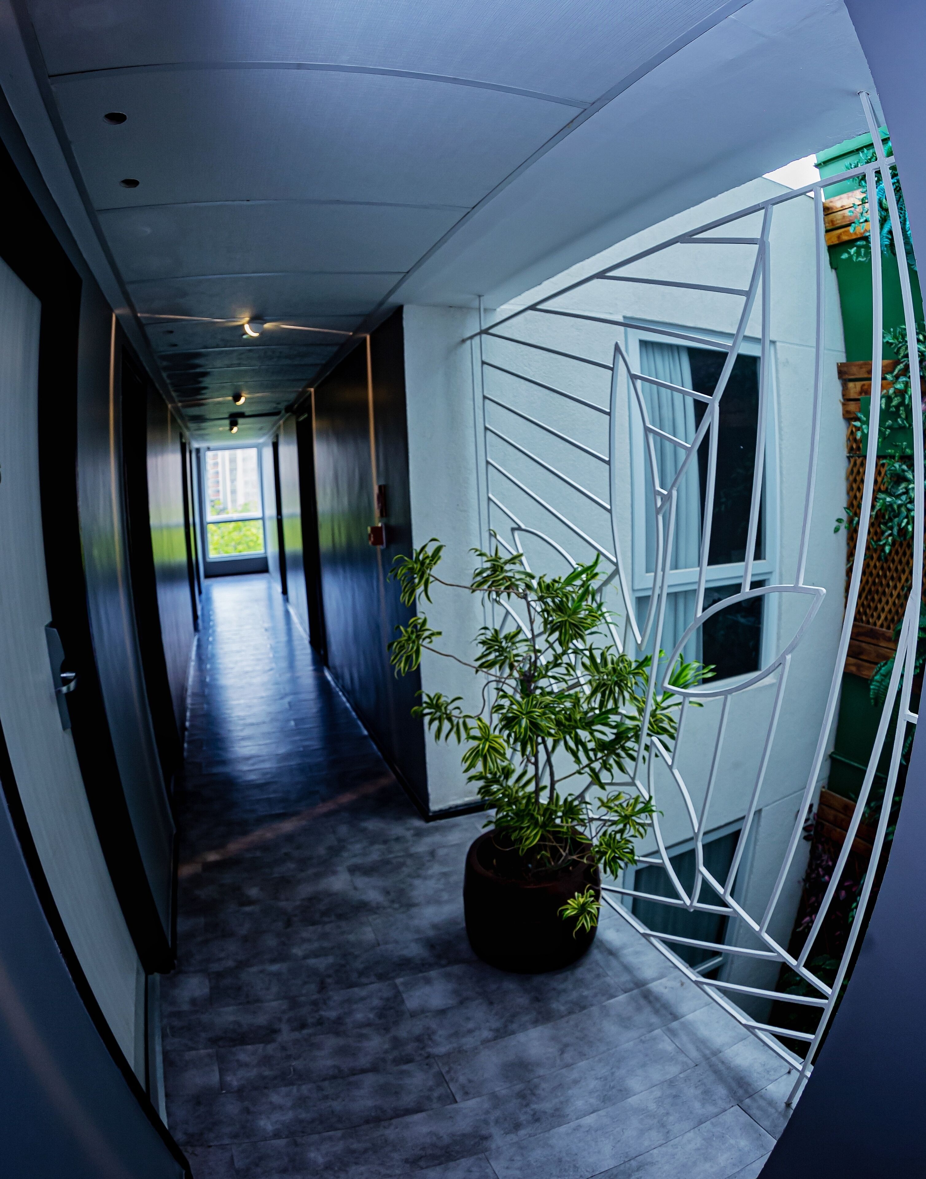 luxury room | minibar, blackout curtains, soundproofing, free wifi