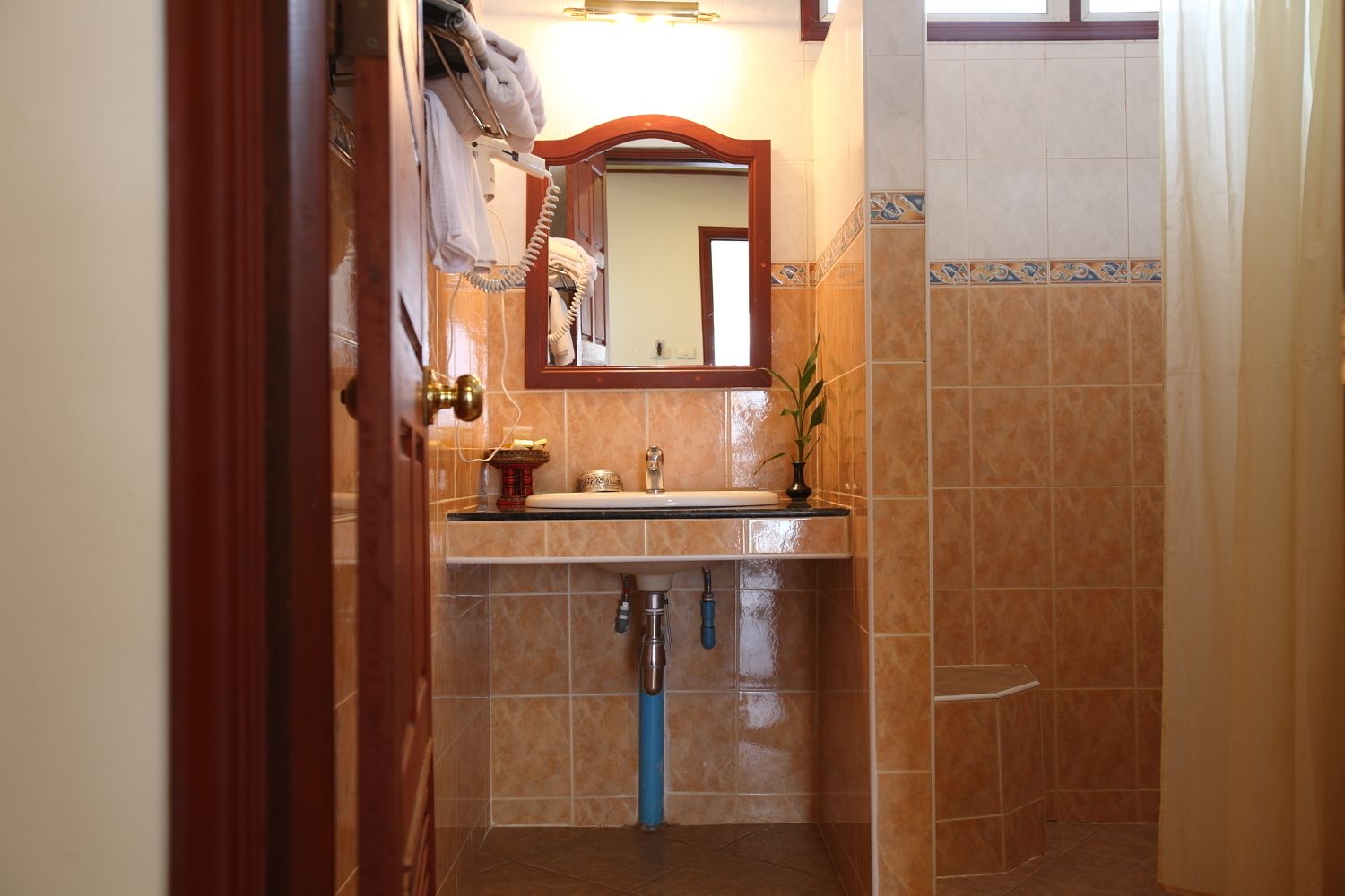A bathroom with a sink, mirror, towel rack, and a plant.