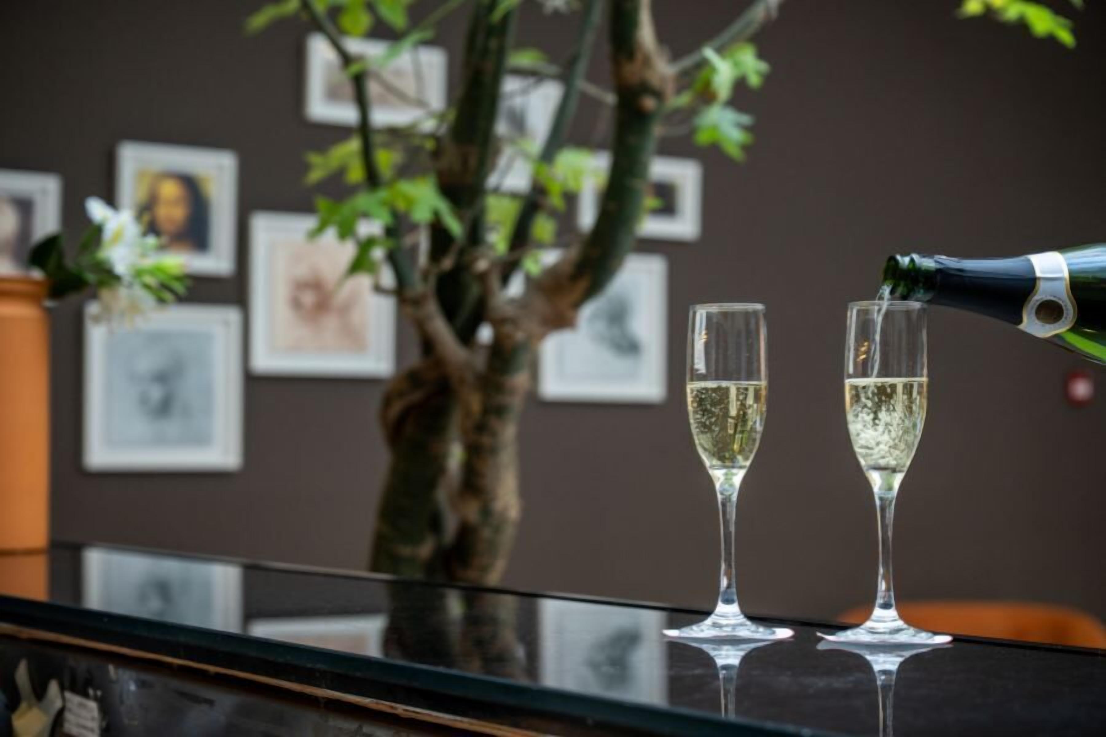 A glass table with two champagne flutes, a bottle of champagne, and a tree in the background.