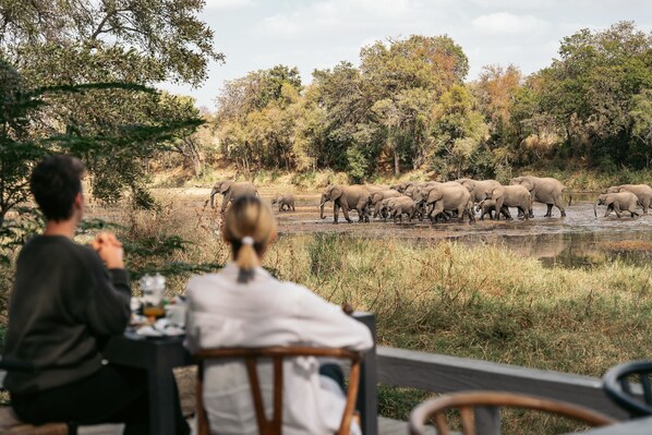 A group of elephants crossing a river, with people observing from a distance.