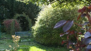 A garden with a bench, lush greenery, and flowering plants.