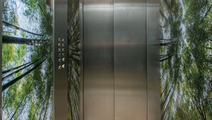 Un ascenseur dont les parois sont décorées d’une fresque représentant une forêt et dont le plafond est orné de luminaires circulaires.