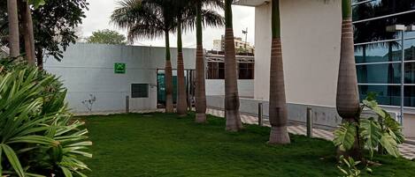 Un patio con césped, palmeras y un edificio con ventanas amplias.