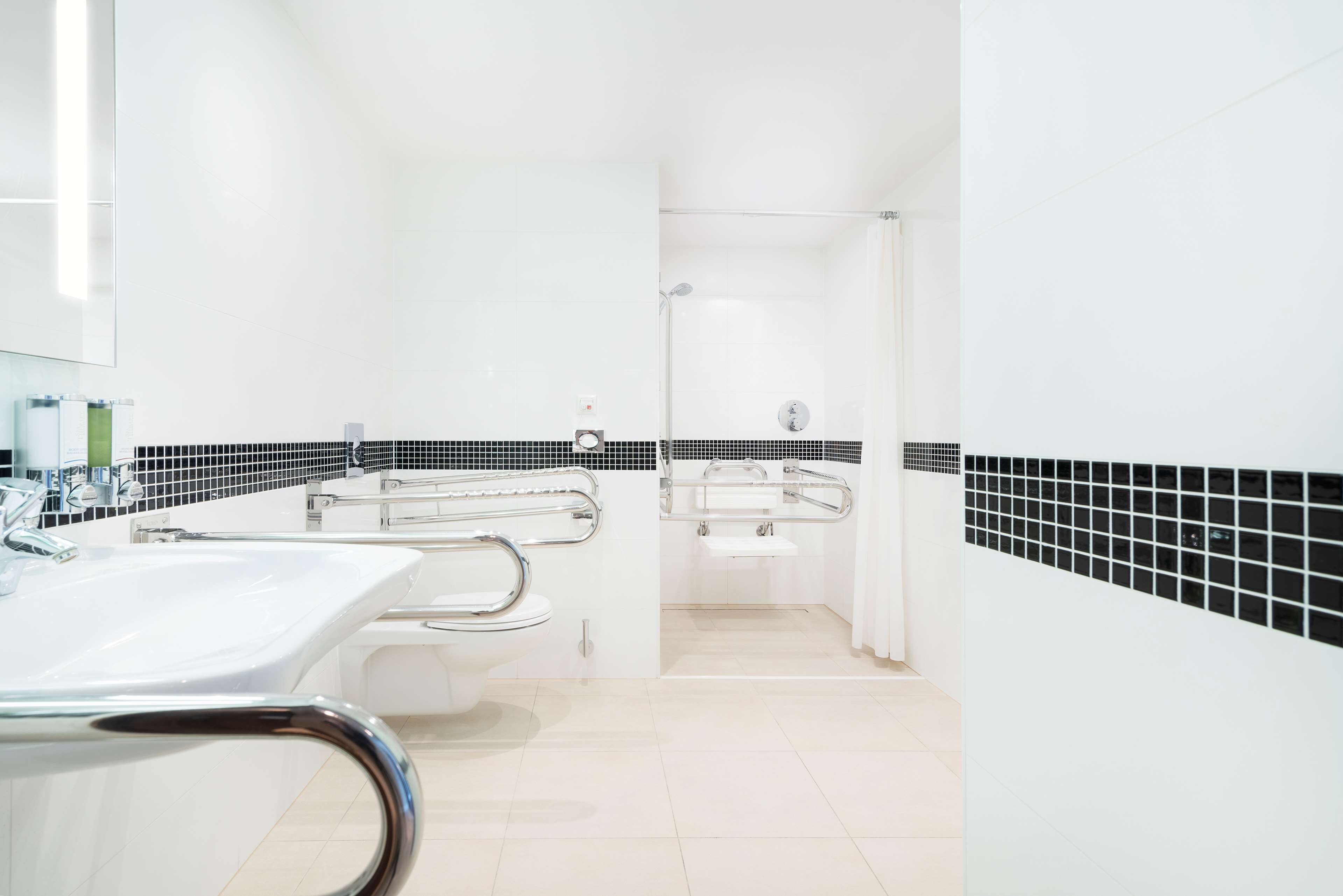 room, 1 queen bed, accessible, non smoking | bathroom shower