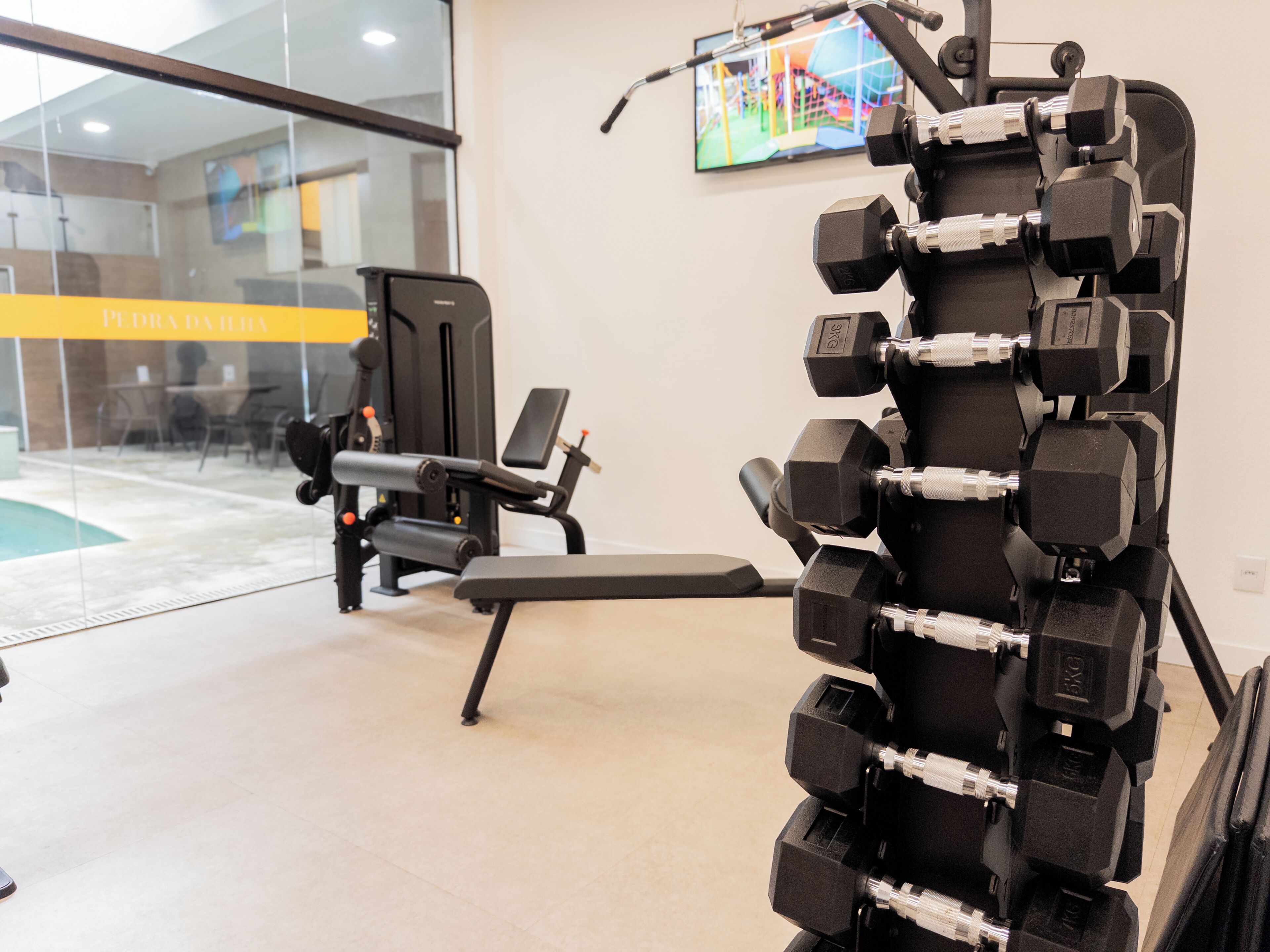 Gimnasio