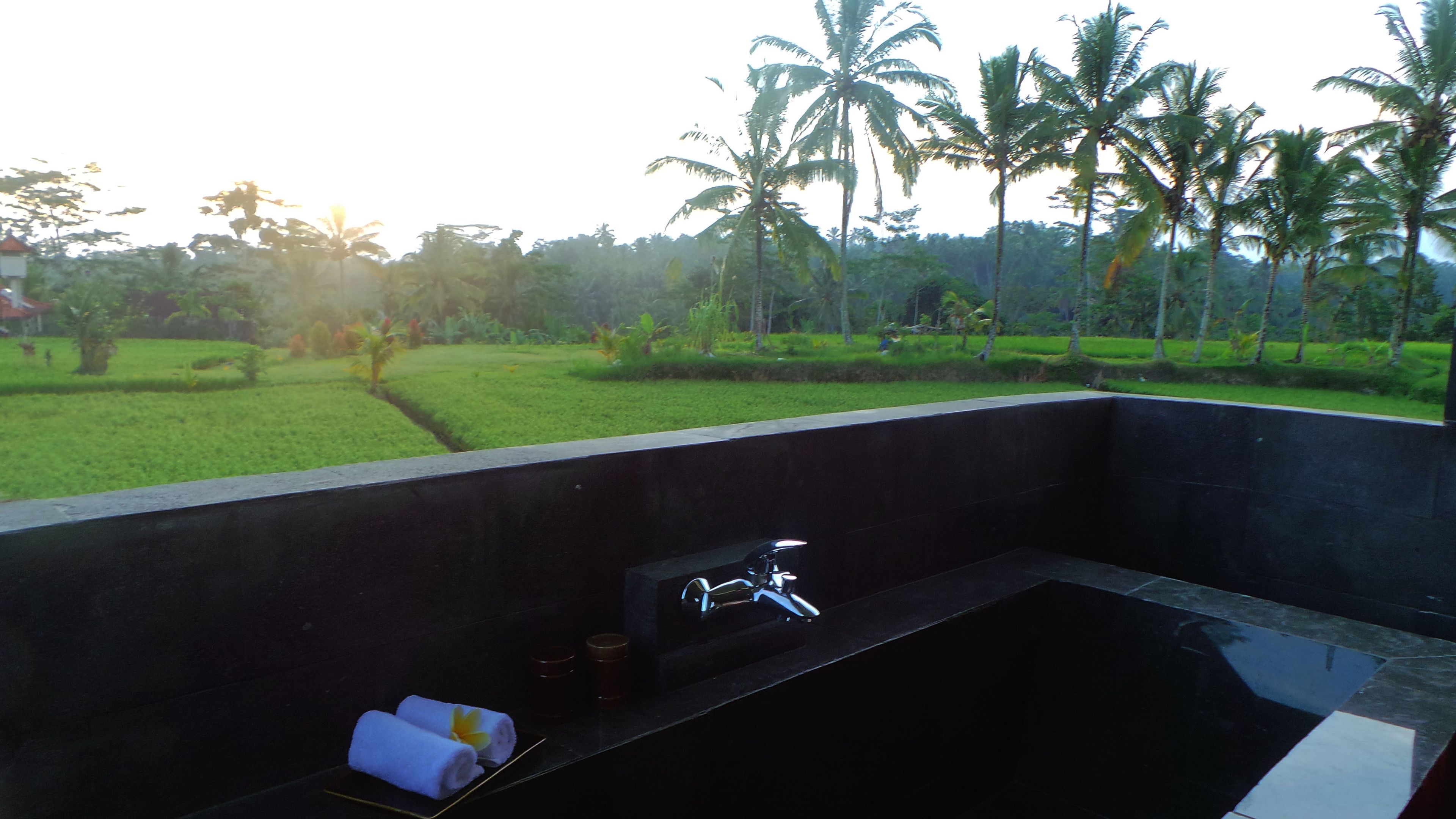 Separate bathtub and shower, deep-soaking bathtub, rainfall showerhead