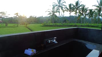 Separate bathtub and shower, deep-soaking bathtub, rainfall showerhead