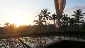 A view of a water body with palm trees and a building in the background. - Villa Kemuning Ubud (Tegallalang)