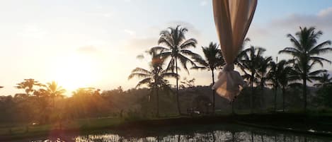 Vista de una masa de agua con palmeras y un edificio al fondo.