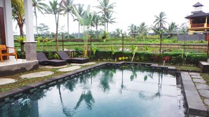 Outdoor pool, sun loungers - Villa Kemuning Ubud (Tegallalang)