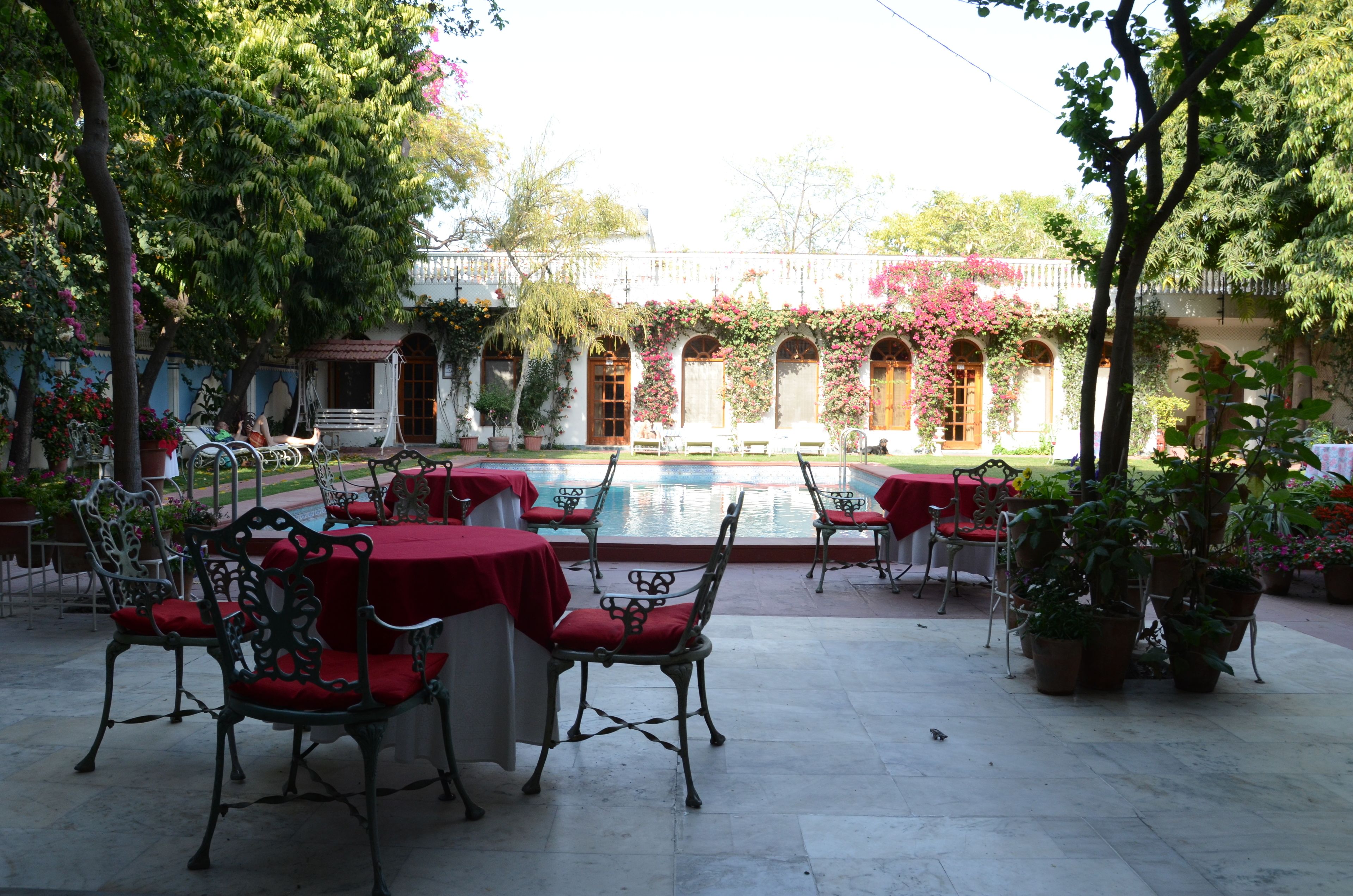 outdoor pool, pool loungers