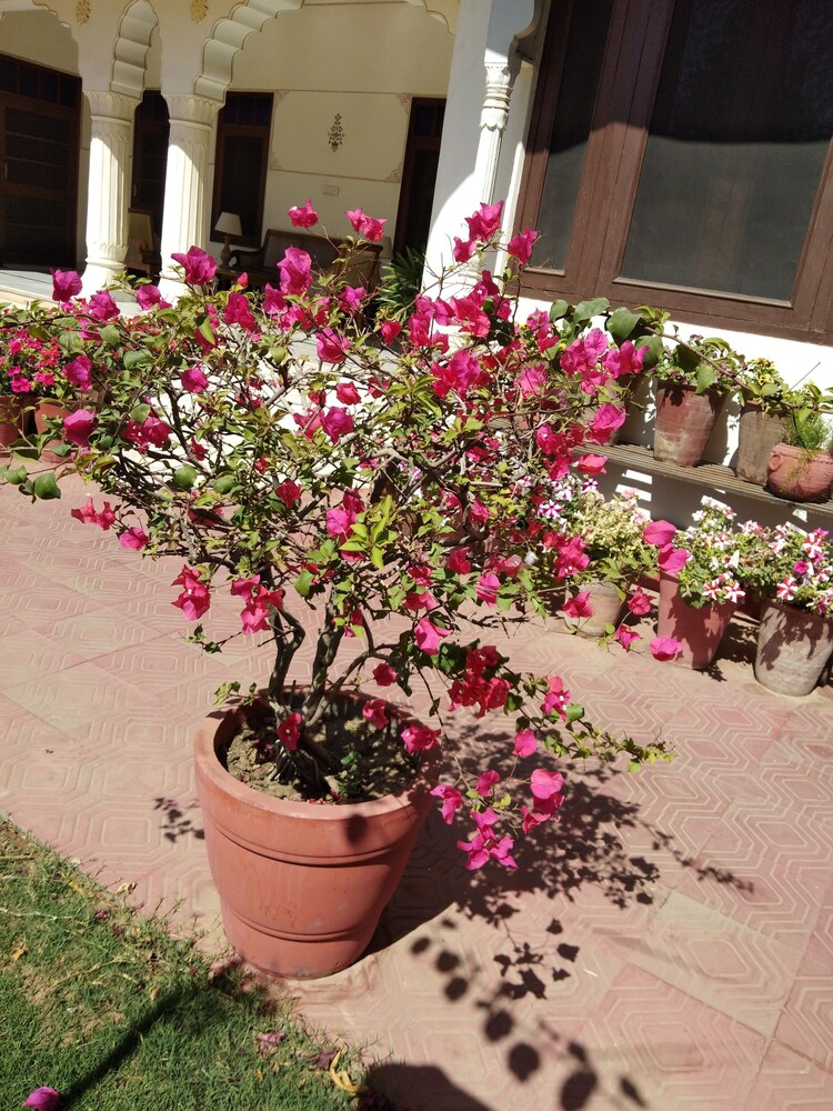 Hotel Meghniwas by null