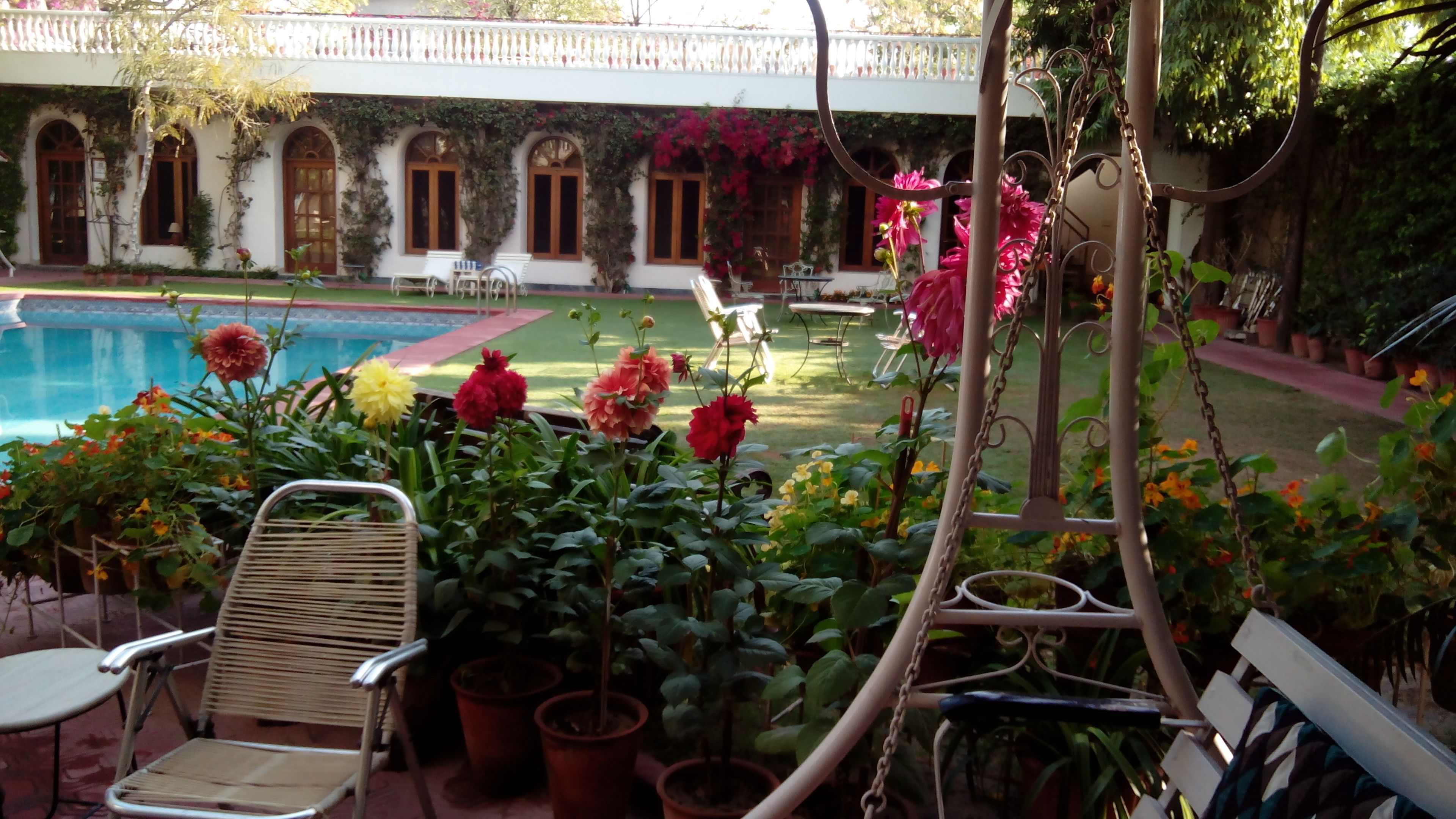 outdoor pool, pool loungers