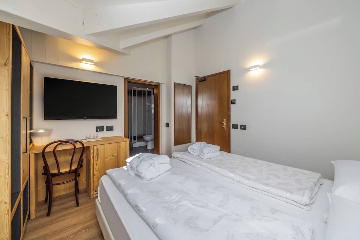 A hotel room with a bed, a desk, a chair, a television, and a shower area.
