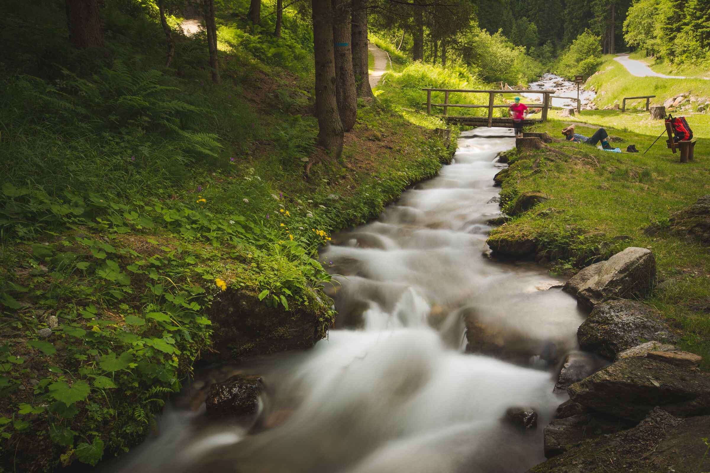 Un arroyo serpentea por un área boscosa con un puente de madera y un sendero.