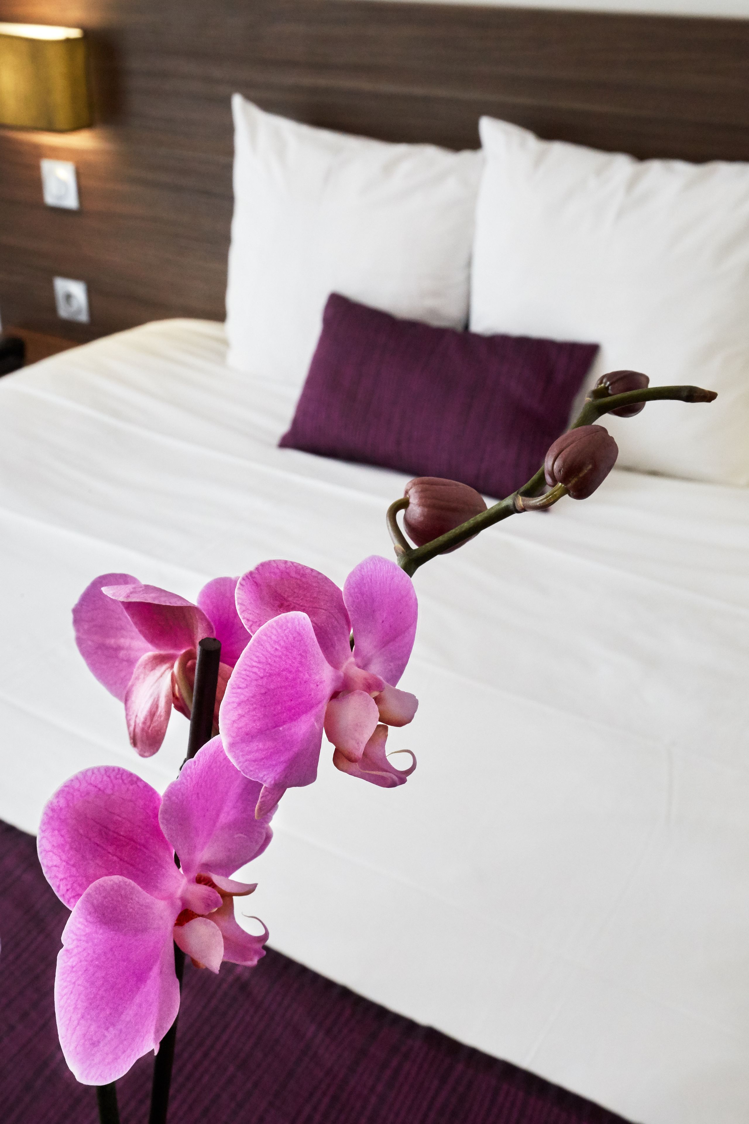 A hotel room with a neatly made bed, a purple pillow, and a pink orchid in the foreground.