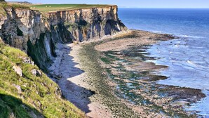 Un acantilado costero con un sendero cubierto de hierba que baja a una playa.