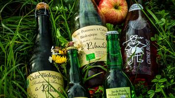 Botellas de sidra y manzanas sobre la hierba.