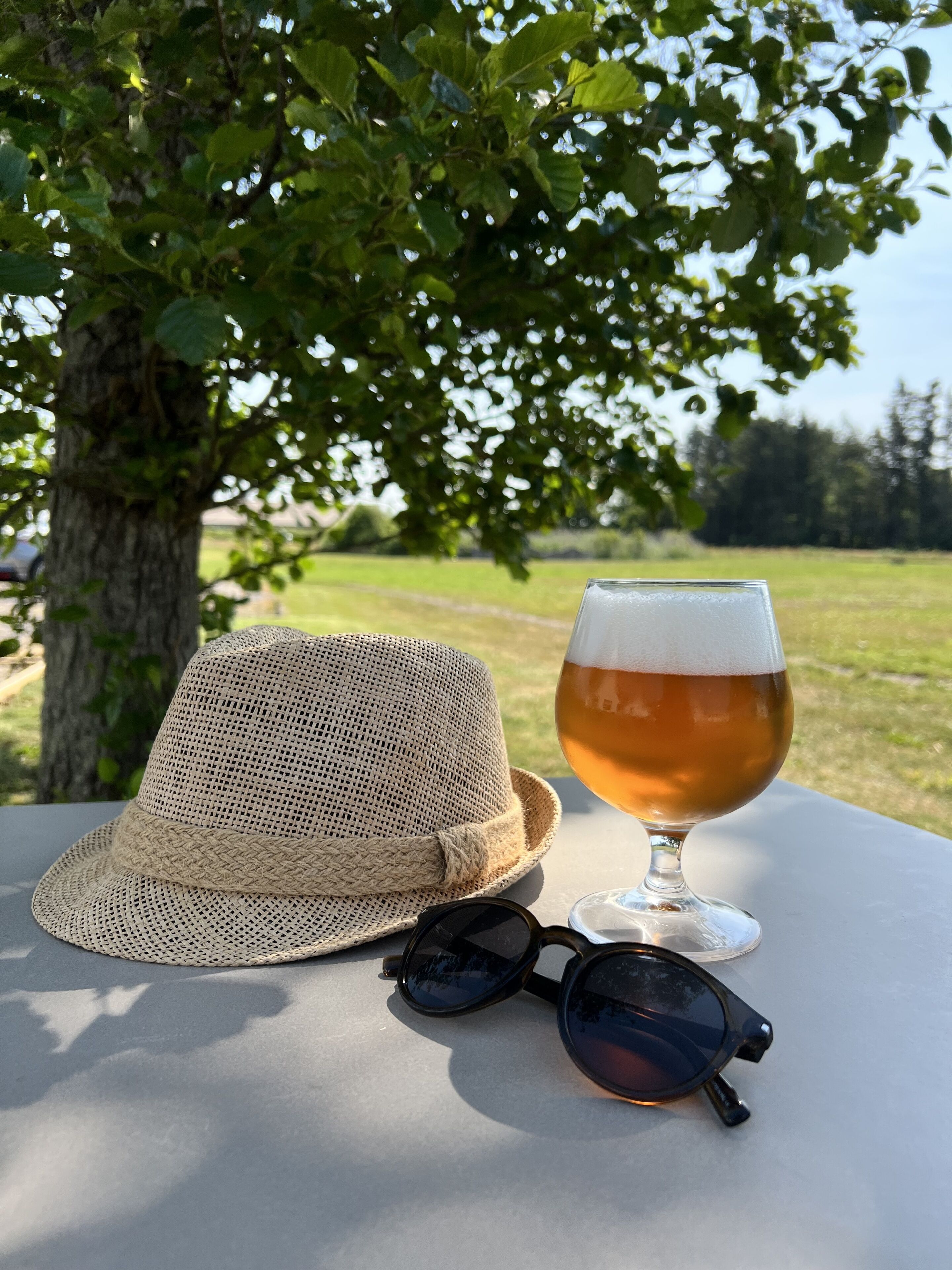 Un sombrero de paja, unas gafas de sol y una cerveza en una mesa al aire libre.