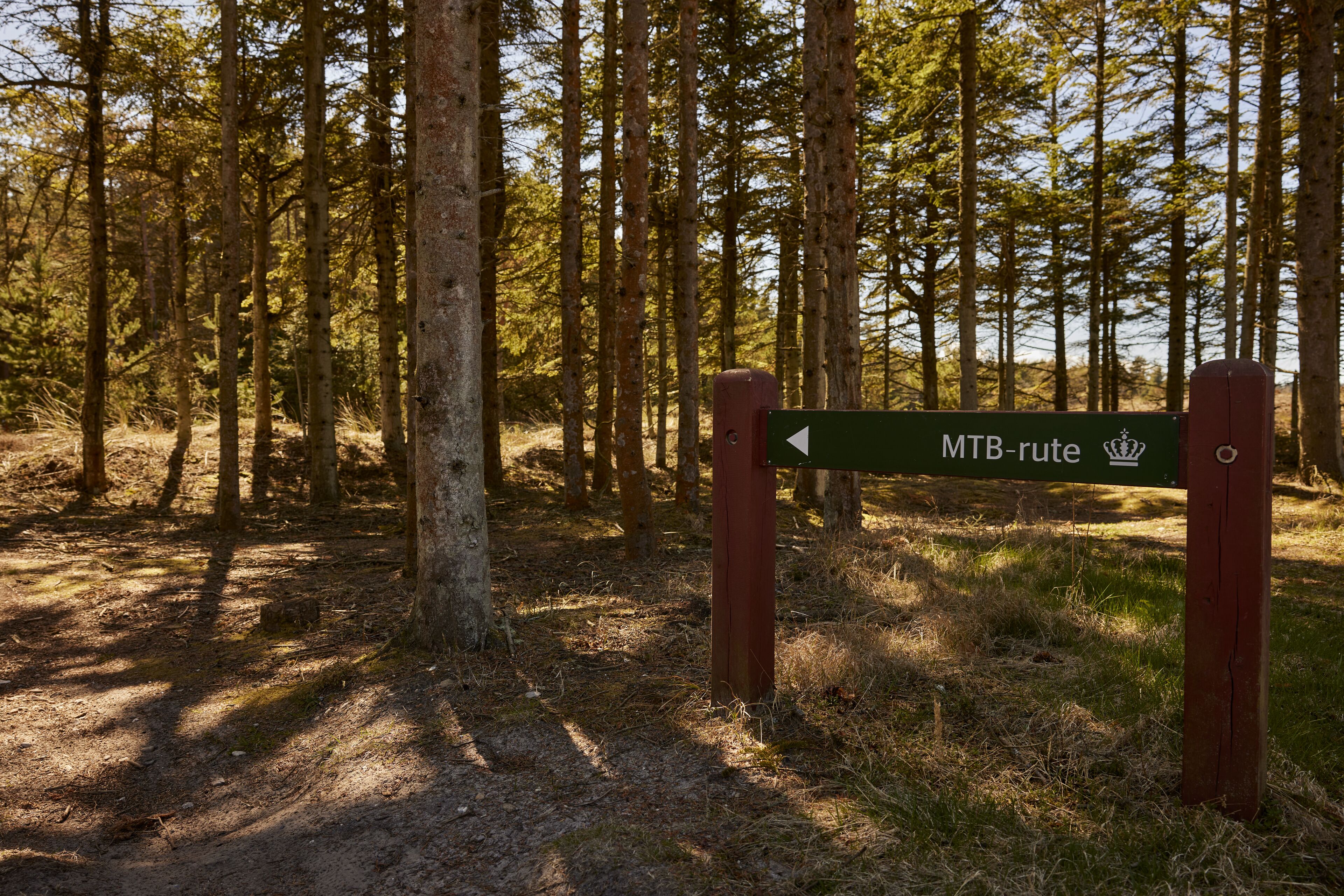 Ein Wegweiser in bewaldeter Landschaft mit einem Wappensymbol, der eine Route anzeigt.