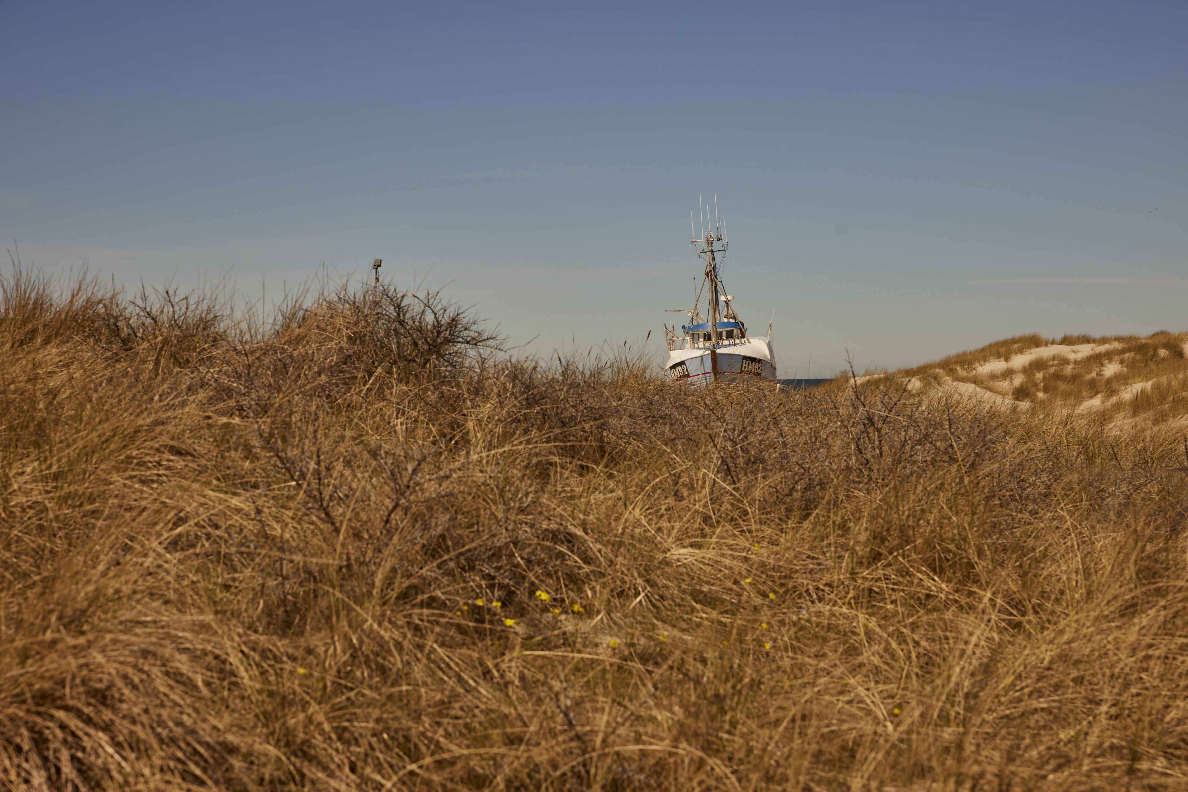 Strand
