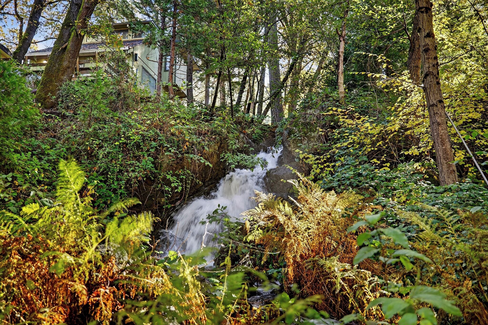 A waterfall surrounded by dense foliage and trees.