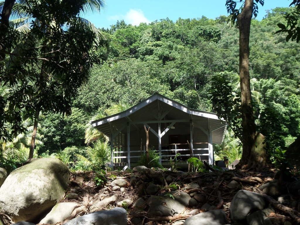 Una cabaña pequeña y rústica con techo a dos aguas, rodeada de un bosque denso.