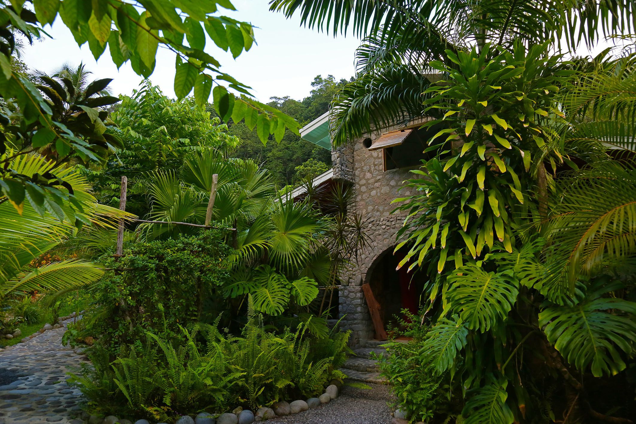 Minibar, free WiFi, bed sheets