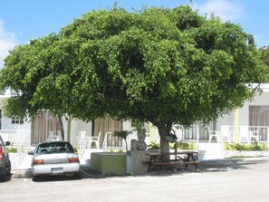 Courtyard - Alablanca Apartments, Residents Inn (Willemstad)