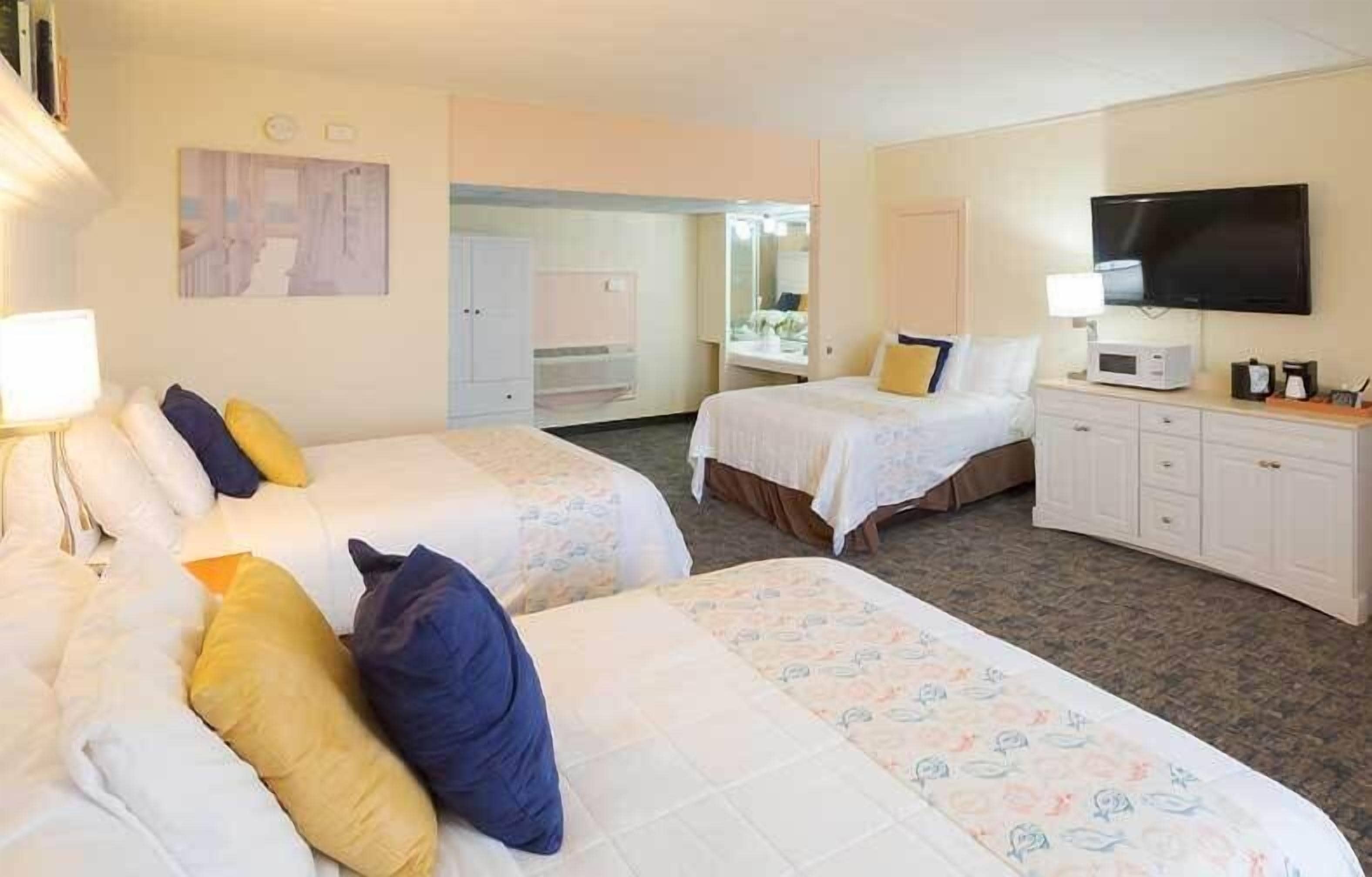 family room, multiple beds, ocean view | 1 bedroom, iron/ironing board, free wifi, bed sheets