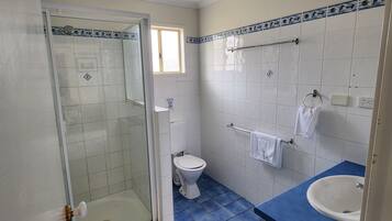 A bathroom with a glass shower enclosure, a toilet, a sink, and a towel rack.