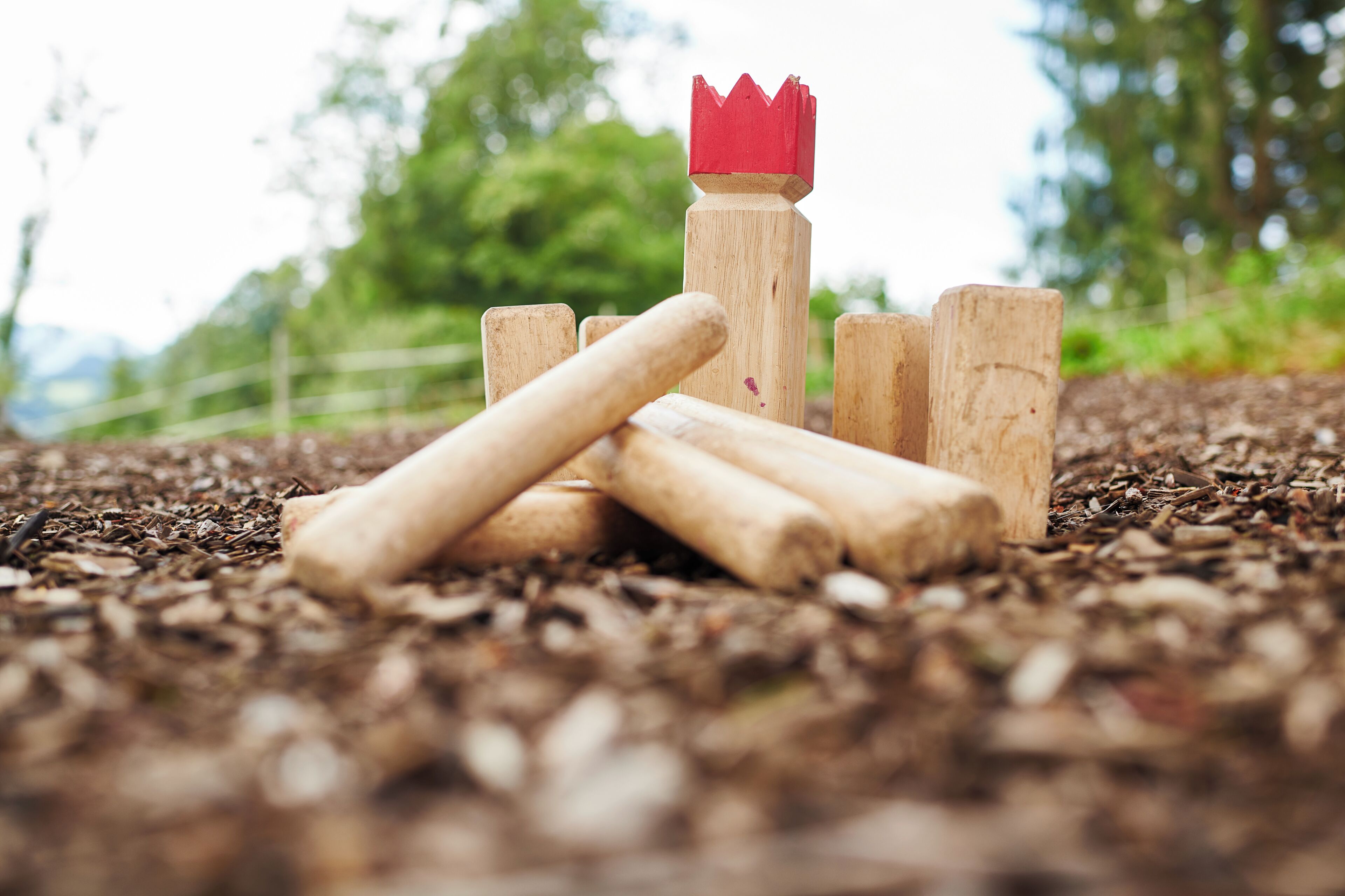 A wooden structure with a red top, surrounded by logs on a ground covered with wood chips.