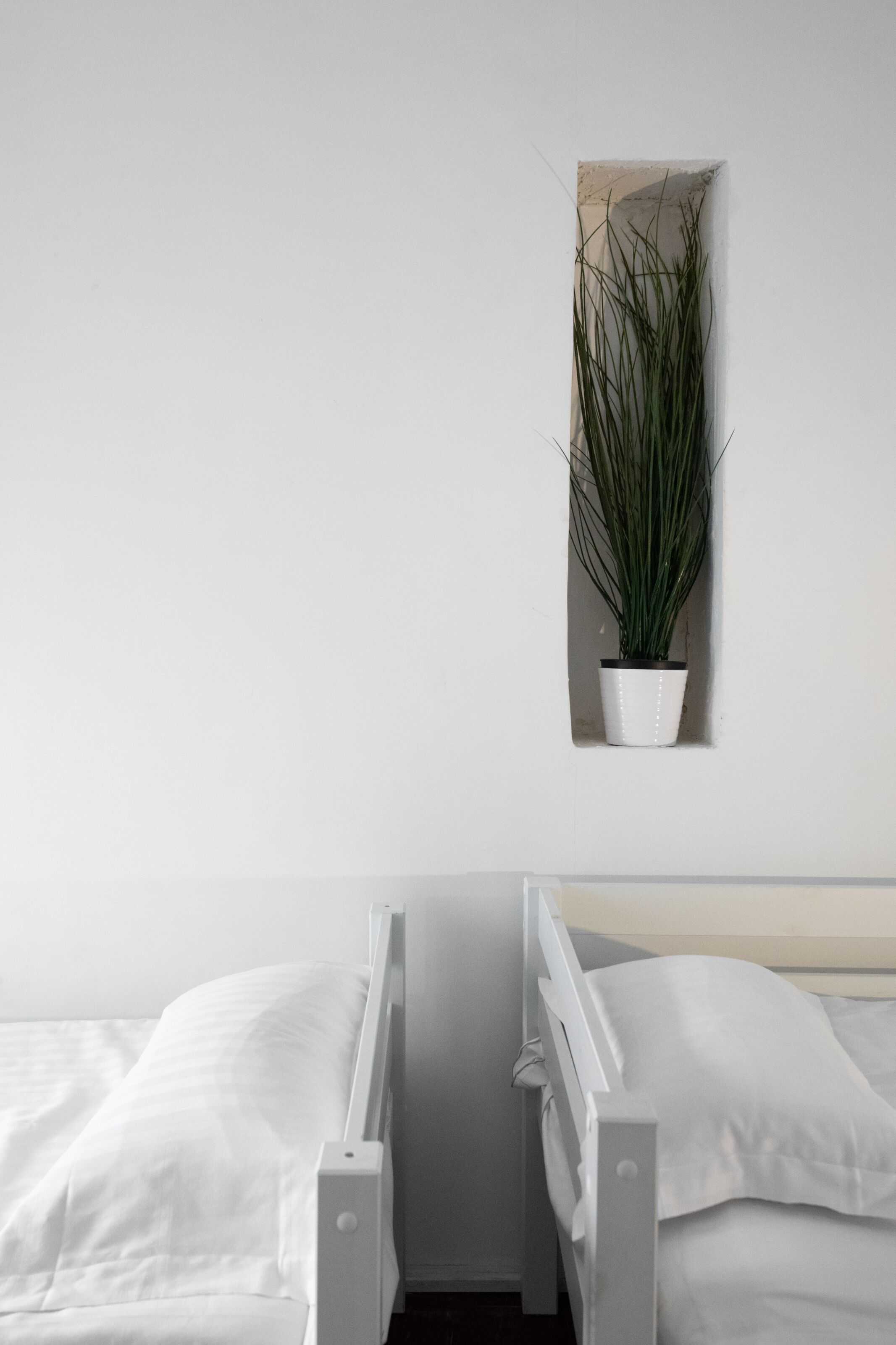 Un dormitorio minimalista con una cama, una planta pequeña en maceta y una pared blanca.