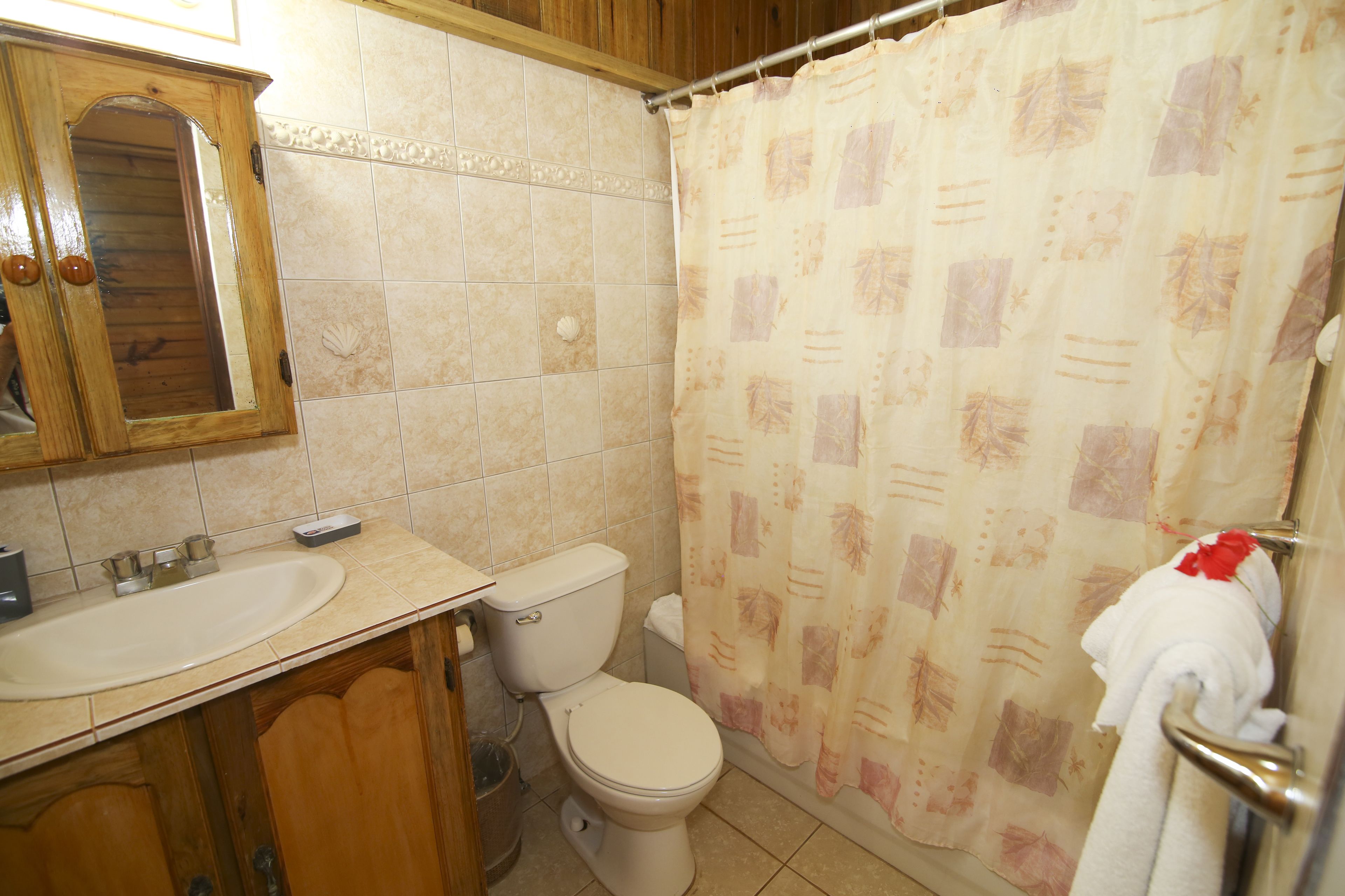 A bathroom with a toilet, sink, and shower curtain.