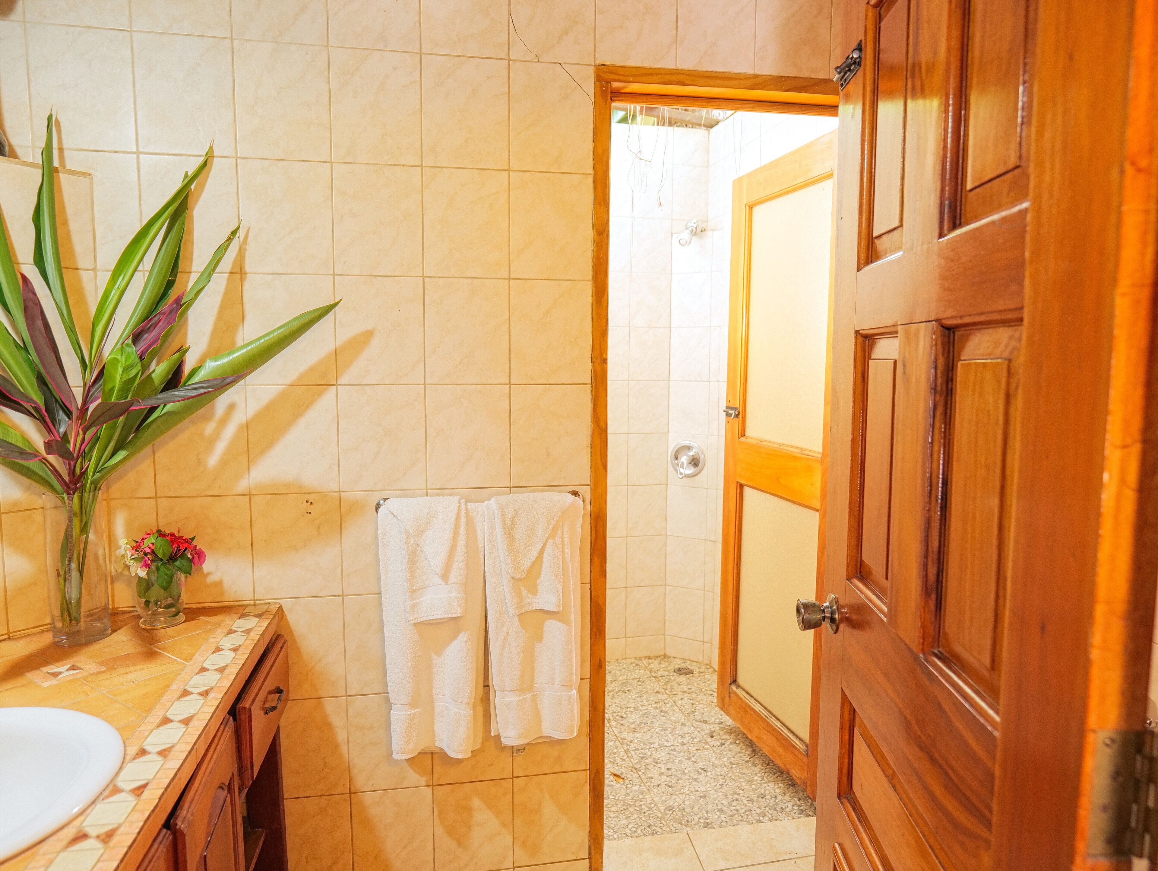 A bathroom with a wooden door, a sink, a mirror, and a plant.