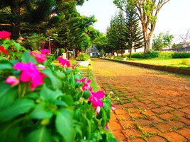 A paved pathway lined with trees and flowering plants.