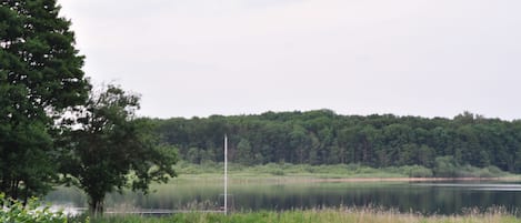 A bench by a lake with a forested background.